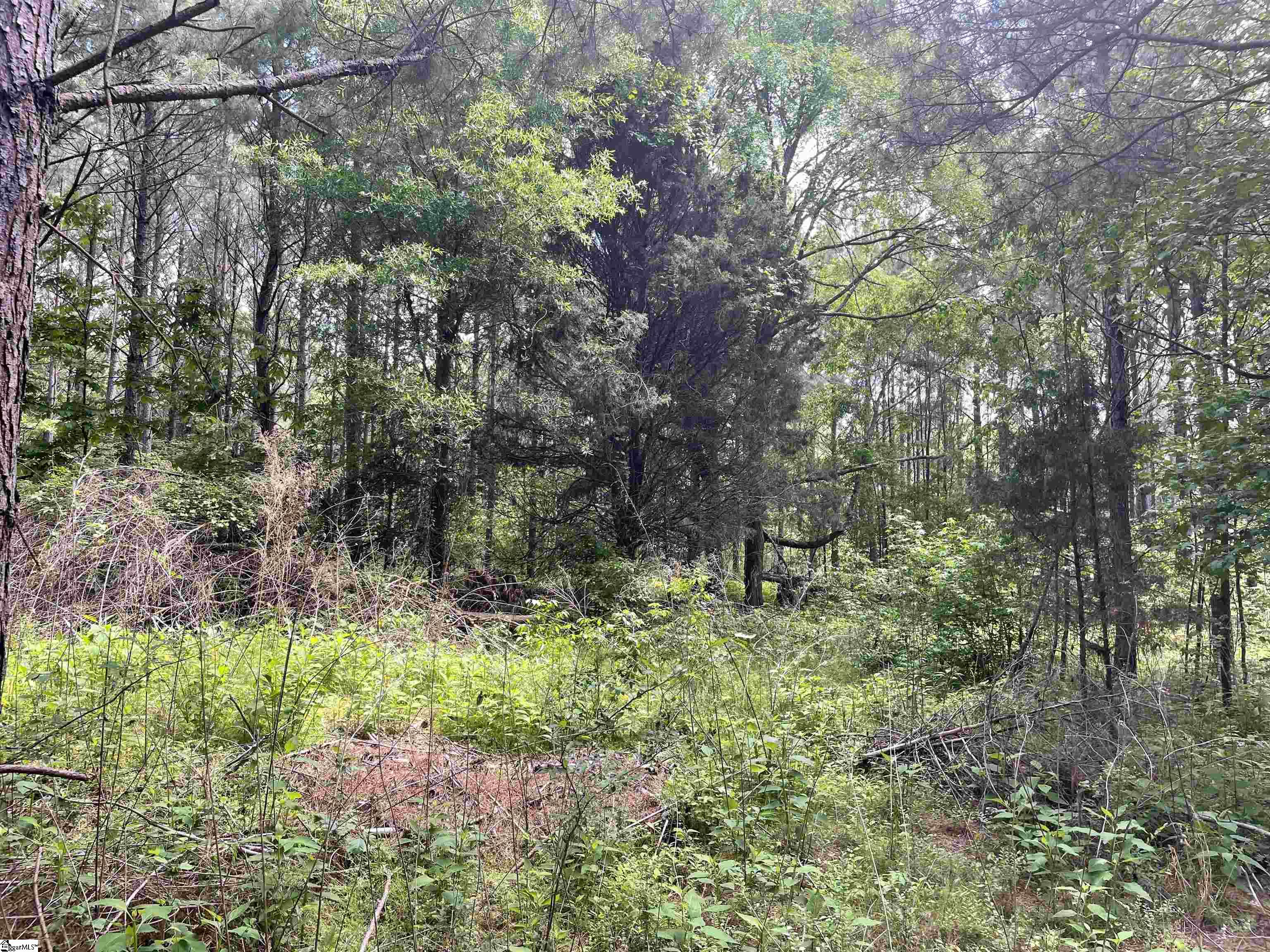 0 Lincoln Road Gray Court, SC 29645 - Photo 6 of 20 Gallery Image 6