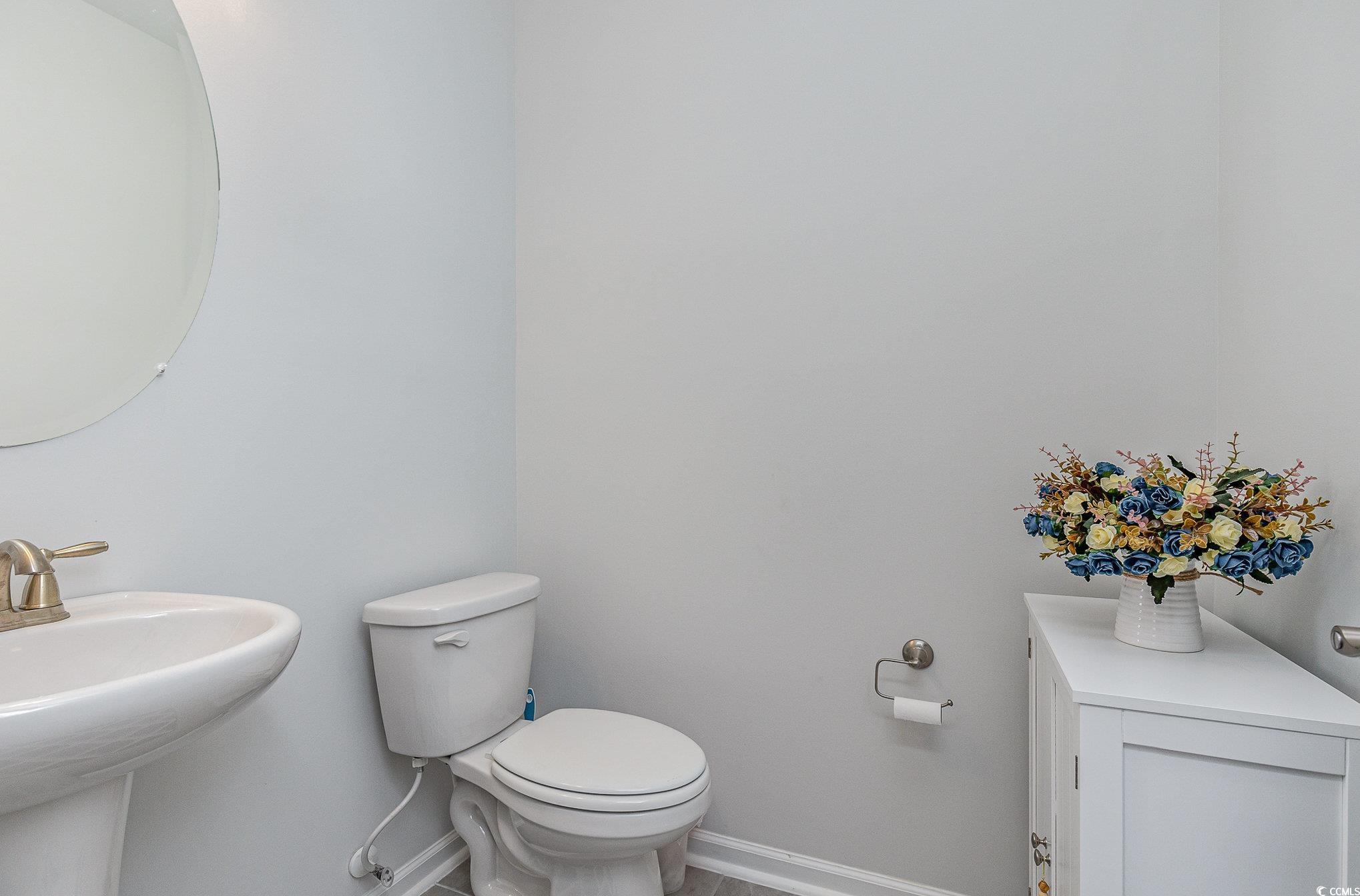 3519 Cornflower Way Conway, SC 29526 - Photo 13 of 40 Gallery Image 13