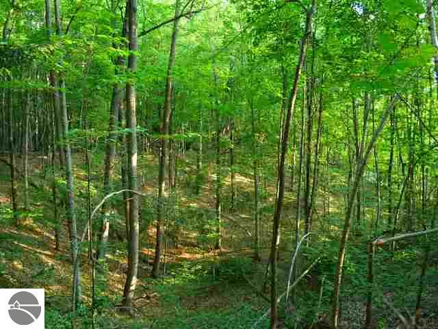 4888 South Wheeler Road Maple City, MI 49664 - Photo 13 of 18 1737925-12.JPG