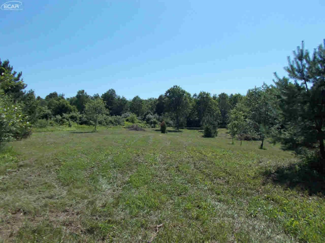 0 Hosner Road Metamora, MI 48428 - Photo 6 of 18