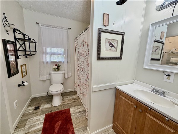 238 Trails End Road Blue Ridge, GA 30513 - Photo 16 of 32 a bathroom with a sink toilet and shower