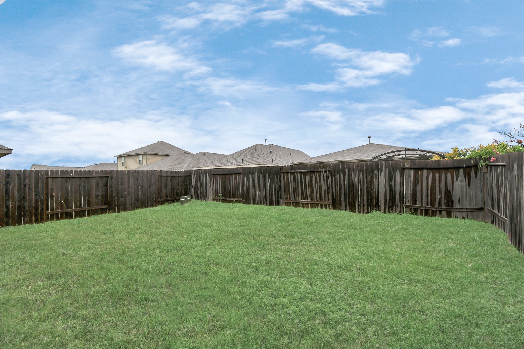 25634 Royal Catchfly Road Katy, TX 77493 - Photo 33 of 34