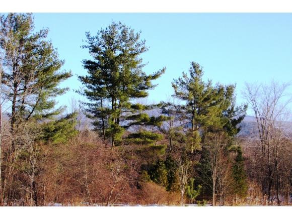 0 Latham Road Thetford Center, VT 05075 - Photo 4 of 5 Gallery Image 4