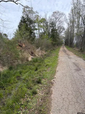 a view of a road with a yard