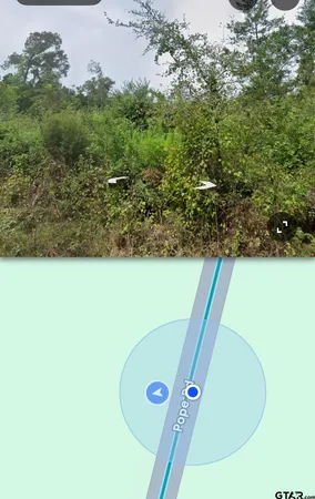 a view of outdoor space and yard