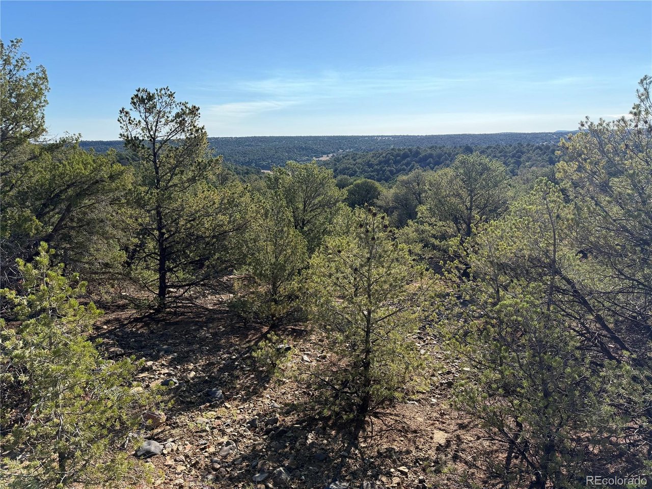 141 River Ridge Trail Walsenburg, CO 81089 - Photo 12 of 28 Gallery Image 12