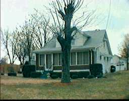 Primary Photo