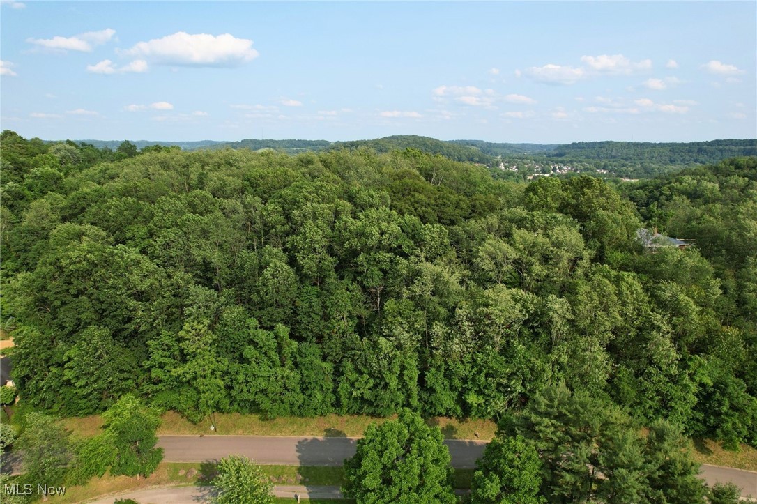 Deer Hill Road Dennison, OH 44621 - Photo 11 of 11 Aerial overview of property's location with a forest
