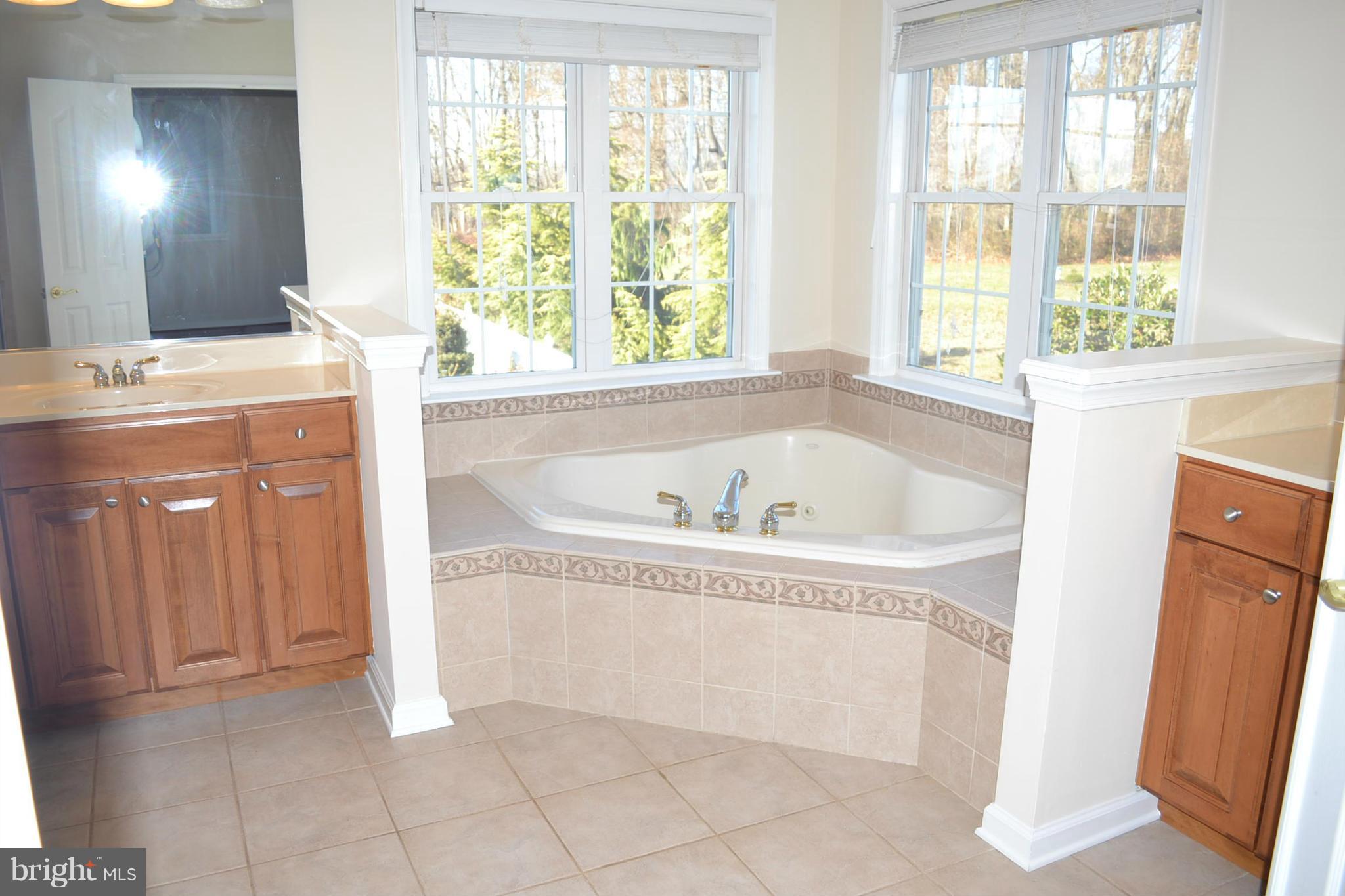 352 Ailsa Drive Rising Sun, MD 21911 - Photo 14 of 30 Bath (Master)