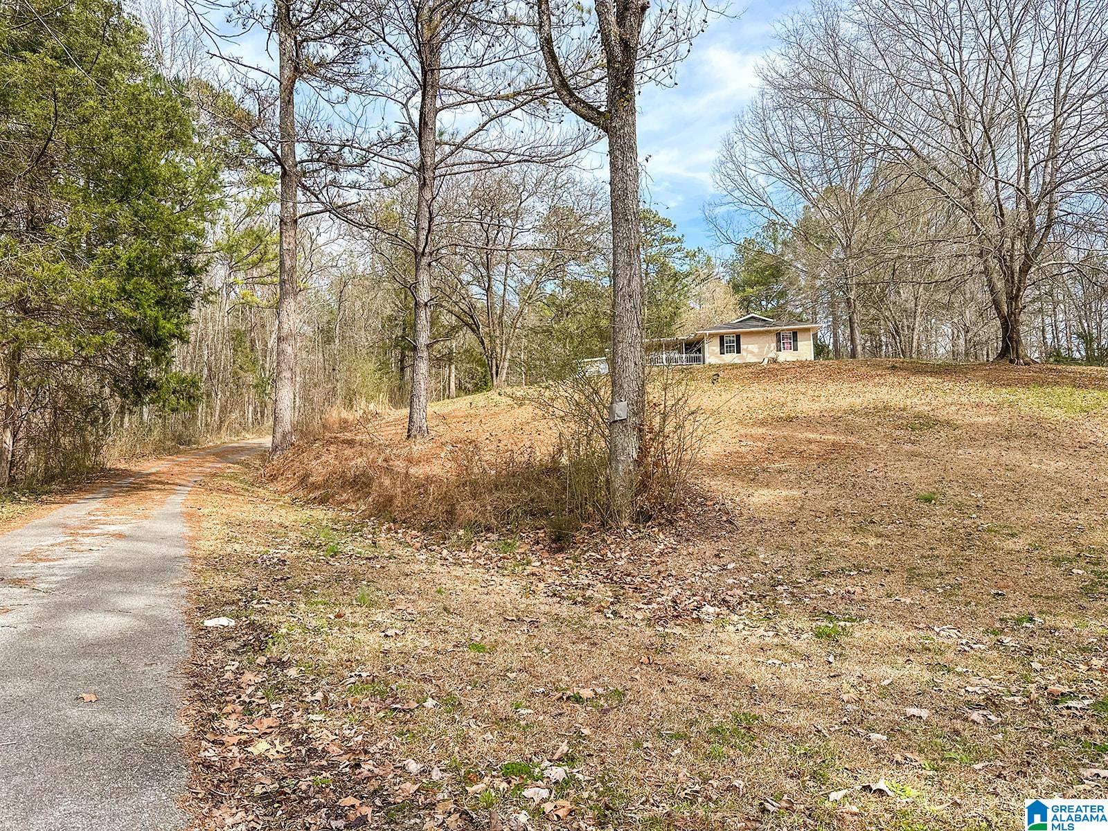 2126 Cedar Springs Road Jacksonville, AL 36265 - Photo 40 of 44