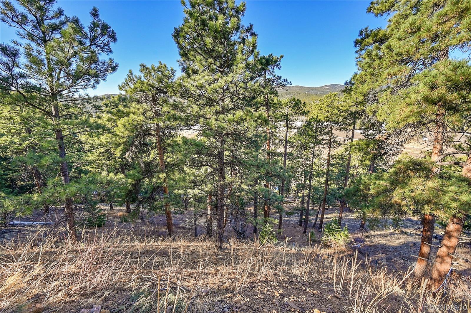 27292 Ridge Trail Conifer, CO 80433 - Photo 7 of 32 a view of a forest with a tree