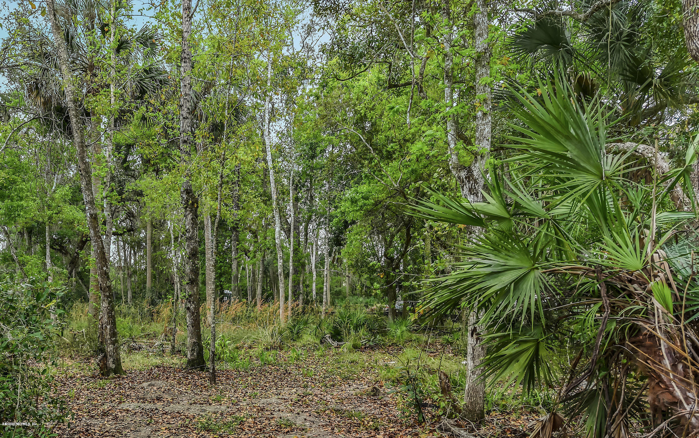 120 Leaning Tree Drive St. Augustine, FL 32095 - Photo 12 of 32 010-120LeaningTreeDr-StAugustine-FL-3209