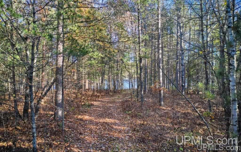 N3318 Twin Lakes Road Wetmore, MI 49895 - Photo 4 of 19