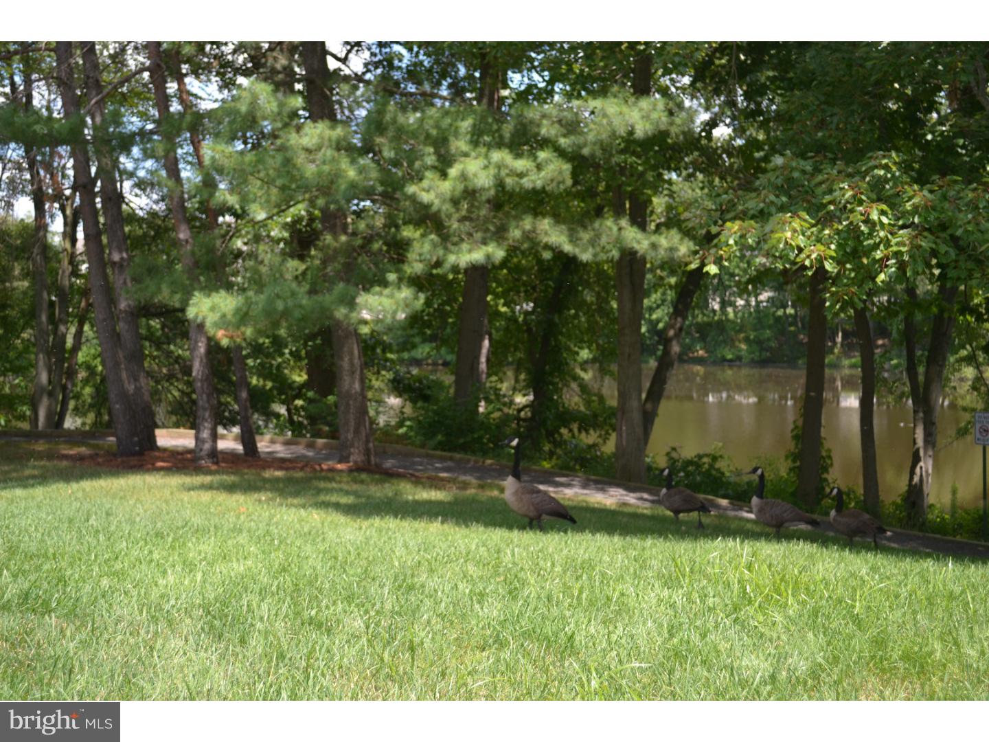 3706 B Chadbury Road Mount Laurel, NJ 08054 - Photo 19 of 20 Gallery Image 19