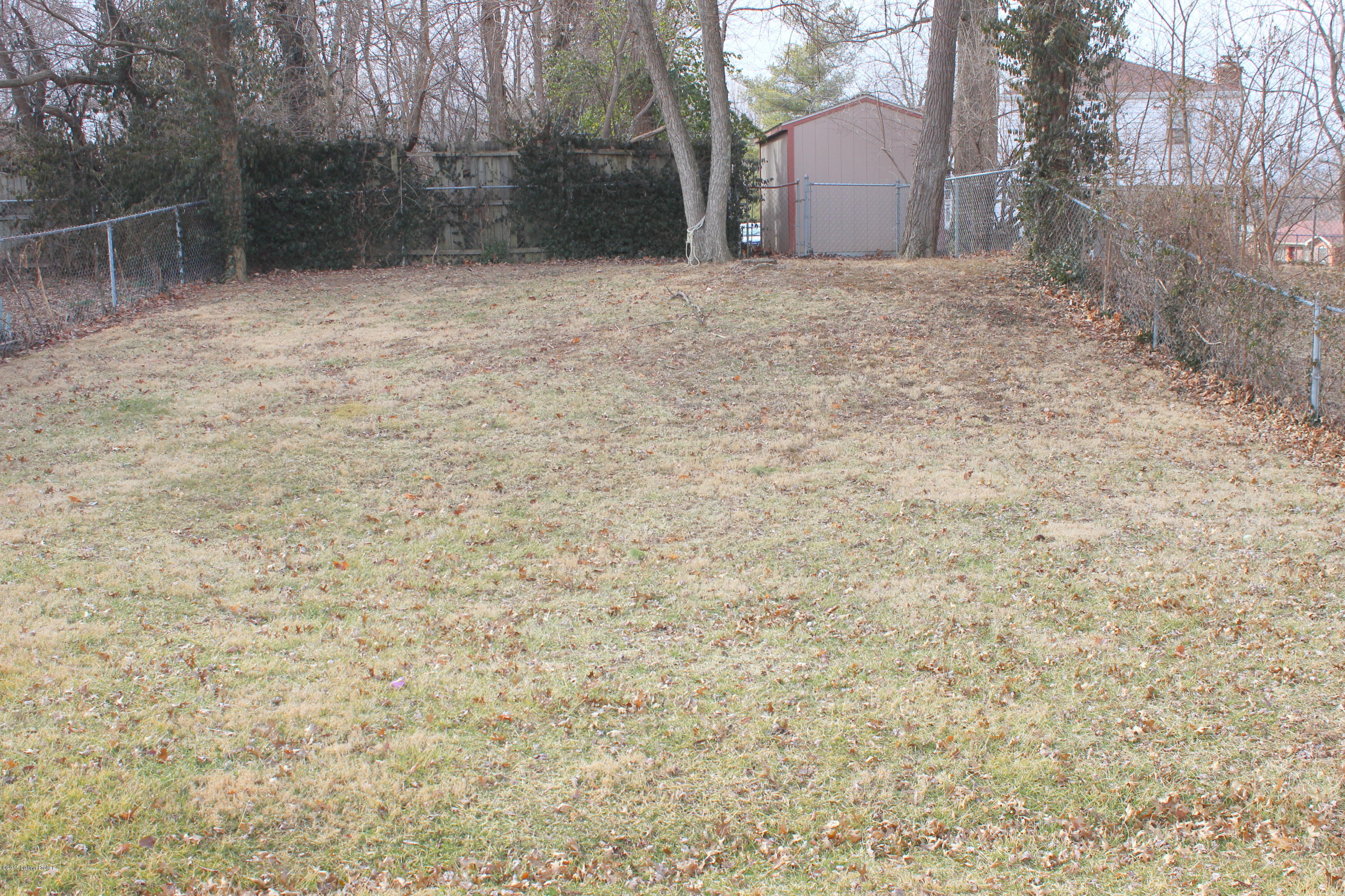 3710 Longview Road Louisville, KY 40299 - Photo 14 of 14 Large fenced yard