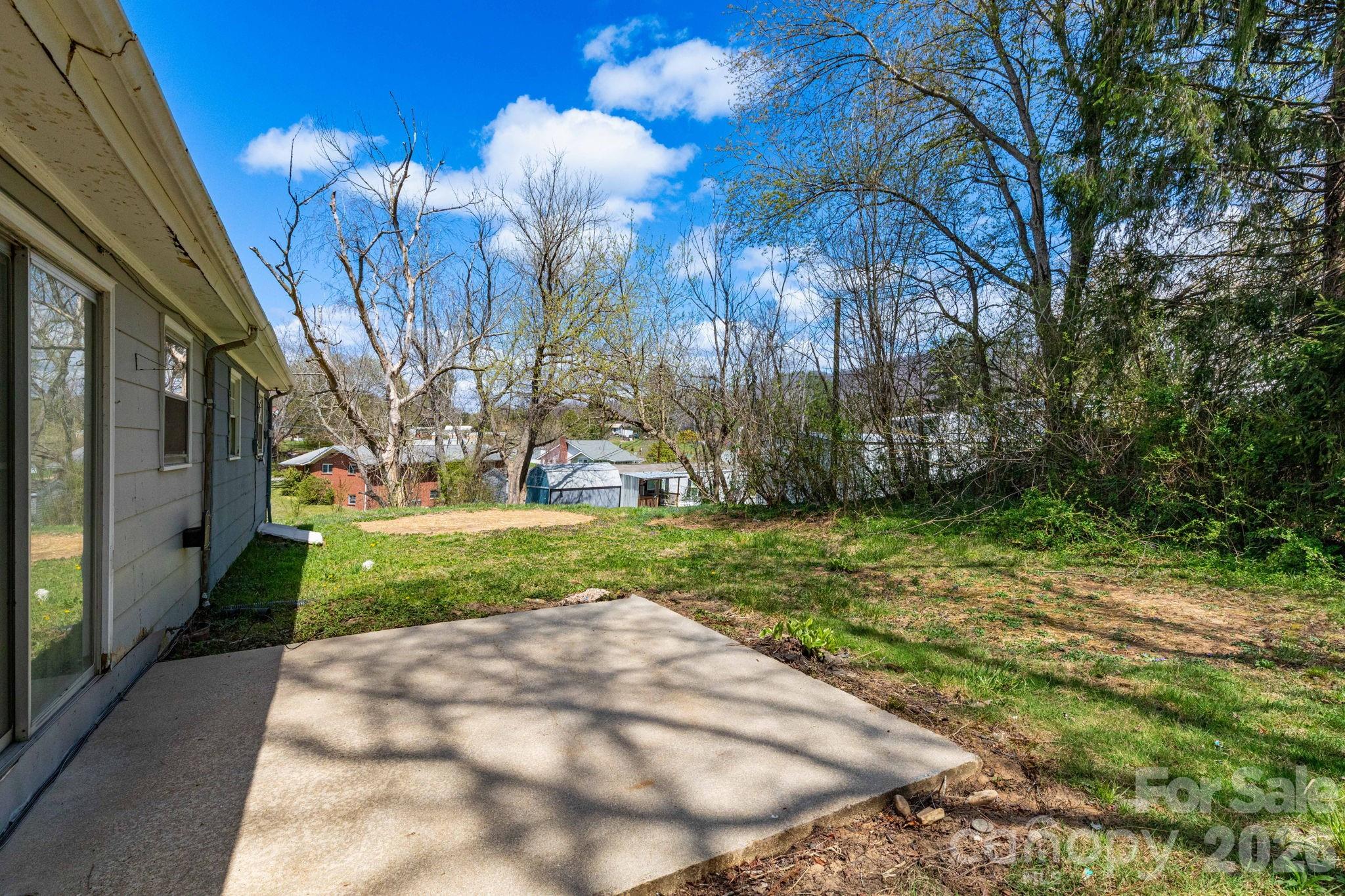 380 Woodland Church Road Clyde, NC 28721 - Photo 19 of 23 a view of yard with tree