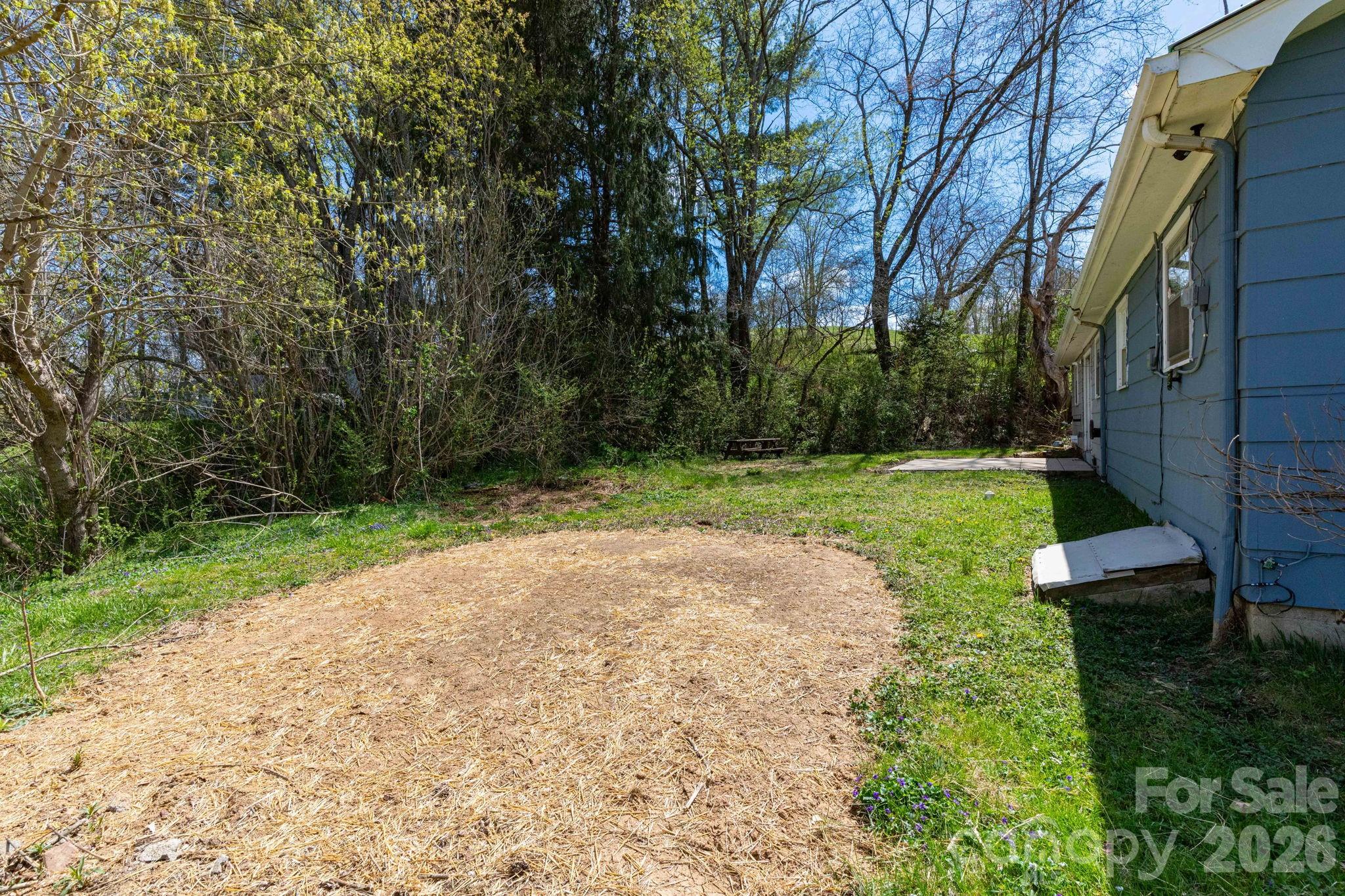 380 Woodland Church Road Clyde, NC 28721 - Photo 20 of 23 a view of a backyard with a garden