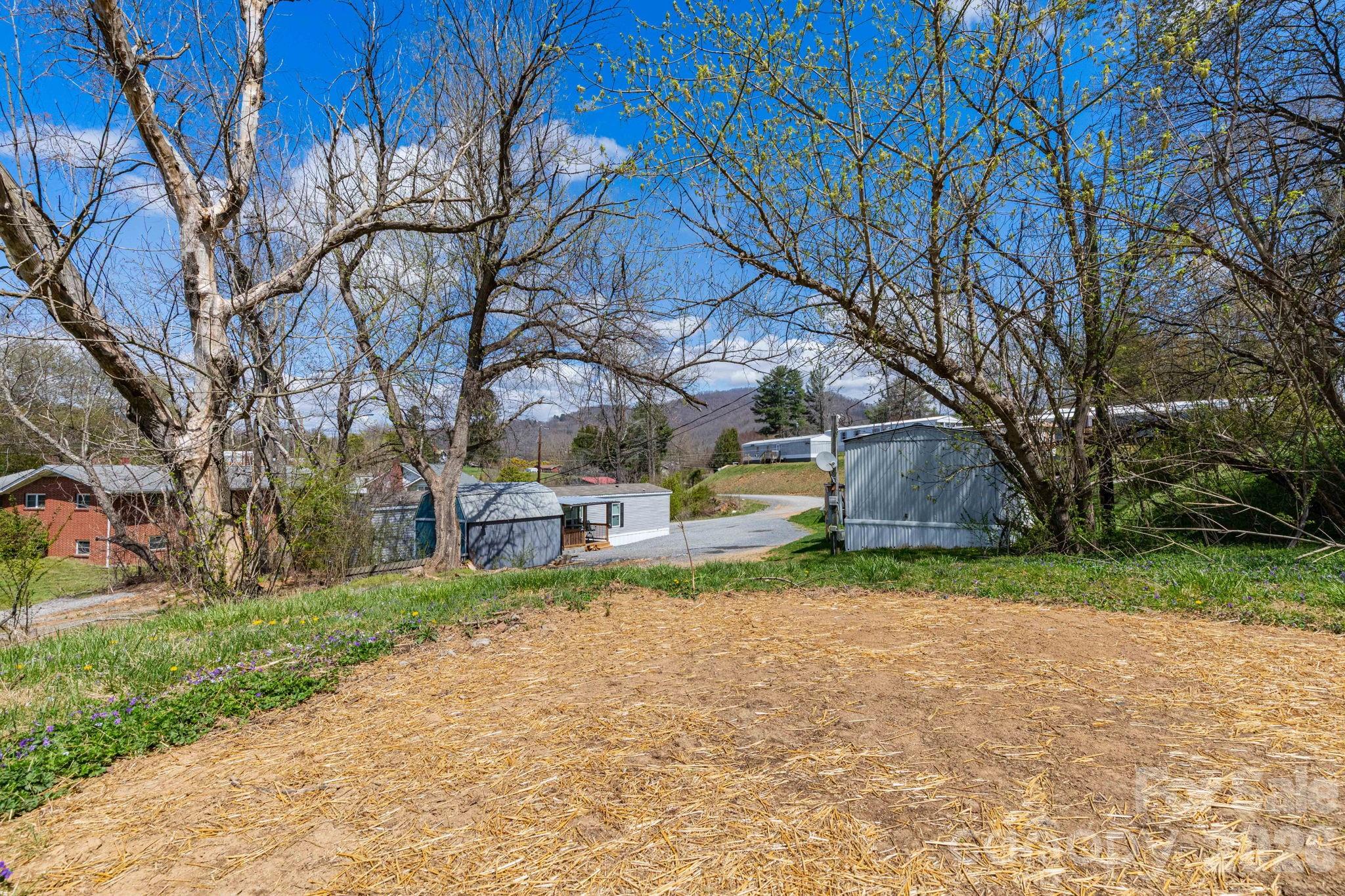 380 Woodland Church Road Clyde, NC 28721 - Photo 23 of 23 a view of a yard with a tree