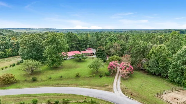 a view of a garden with a bench