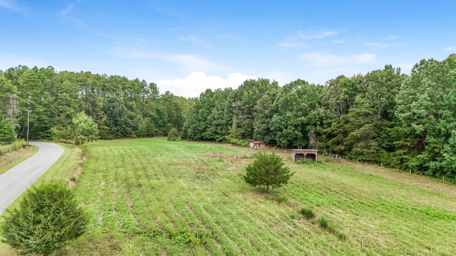 200 Carden Road Phenix, VA 23959 - Photo 37 of 45 a view of a green yard with large trees