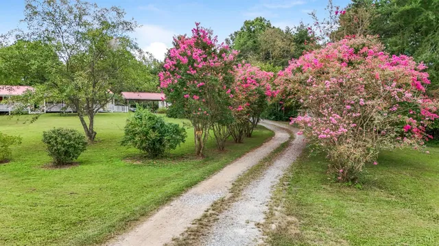 a view of a swimming pool with a yard