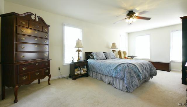 3812 East Hopewell Road Center Valley, PA 18034 - Photo 17 of 27 master bedroom