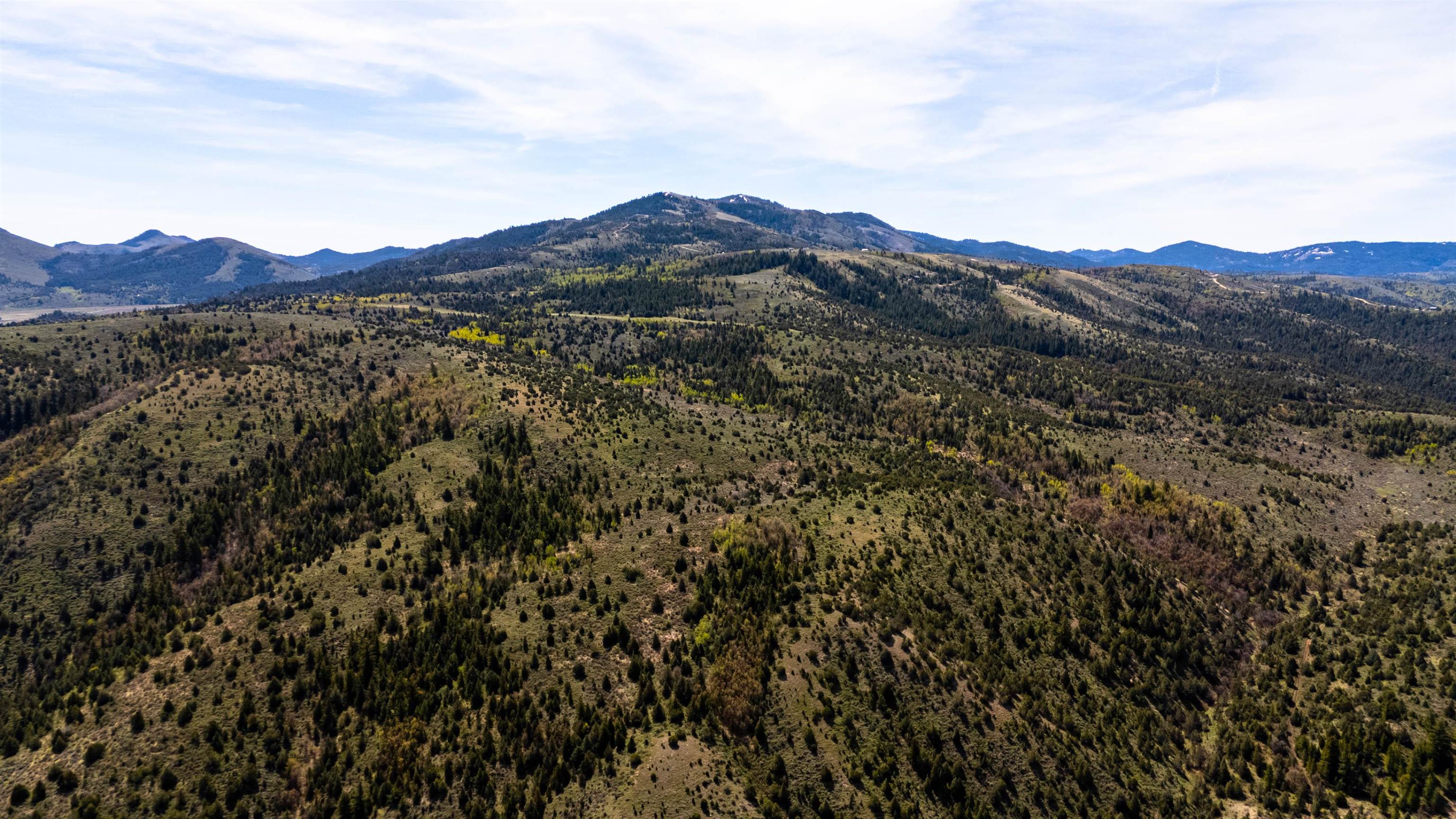 Tbd Fish Creek Road Lava Hot Springs, ID 83246 - Photo 6 of 50 Gallery Image 6