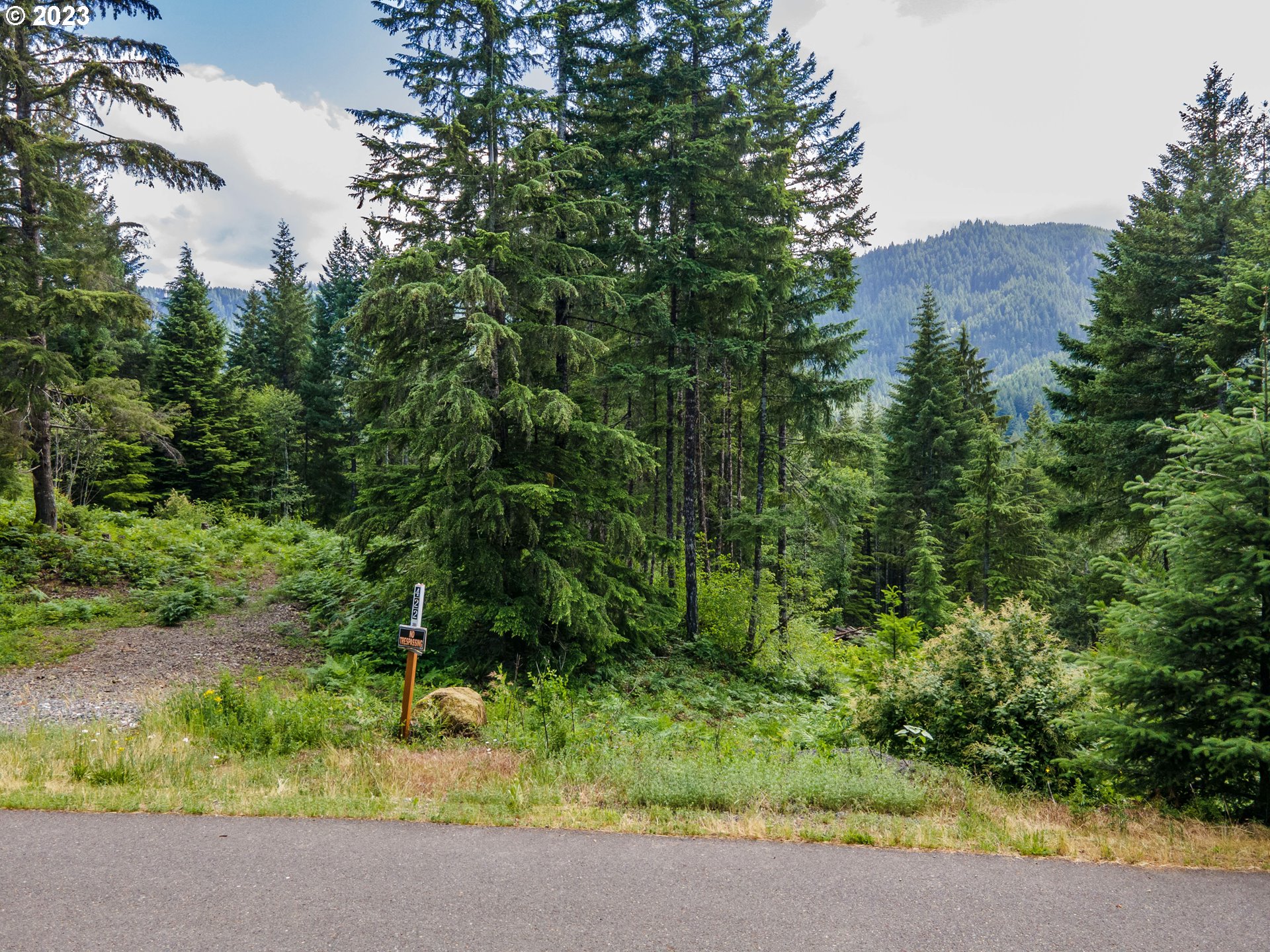 422 Boulder Rdg Drive, Unit LOT 9 Carson, WA 98610 - Photo 3 of 11 Gallery Image 3