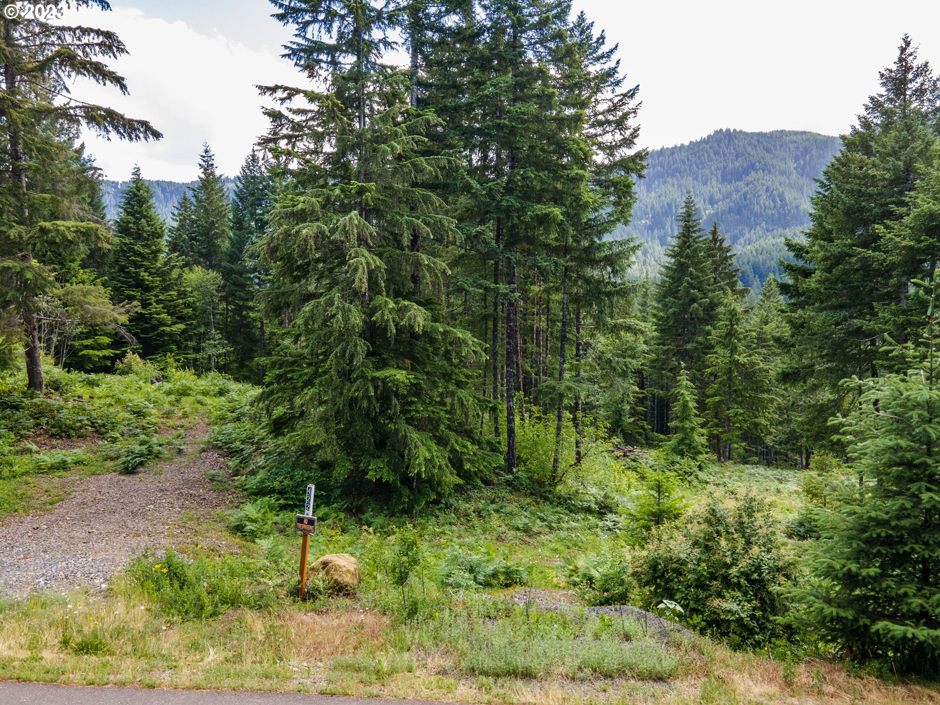422 Boulder Rdg Drive, Unit LOT 9 Carson, WA 98610 - Photo 8 of 11 Gallery Image 8