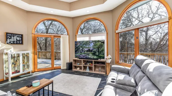 a view of a garden with plants