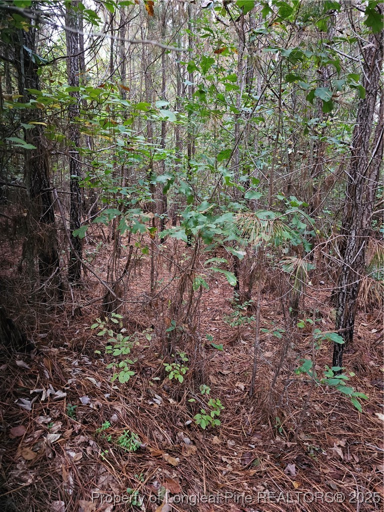 0 Carbonton Road Sanford, NC 27330 - Photo 8 of 12 Gallery Image 8