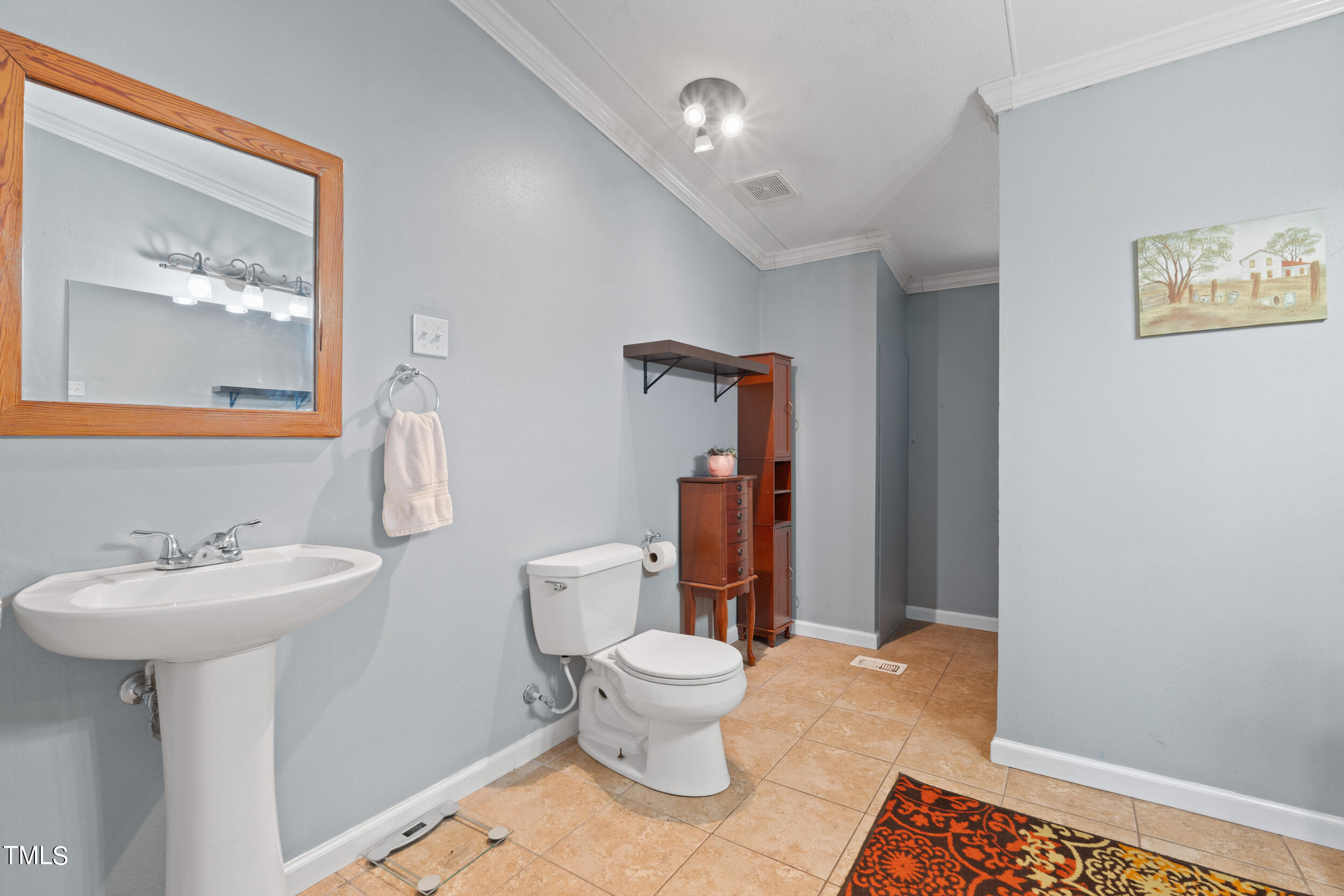 337 Horne Estate Road Carthage, NC 28327 - Photo 13 of 51 a bathroom with a sink toilet and a mirror
