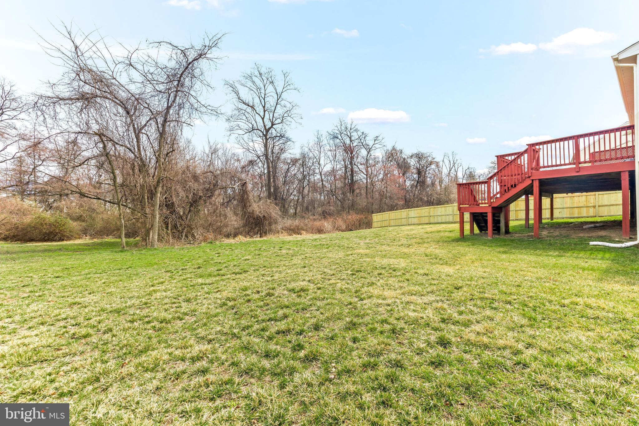 1717 Maco Drive Hanover, MD 21076 - Photo 78 of 93 View of open woods