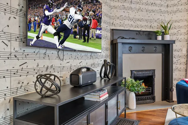 a kitchen with a stove and potted plant