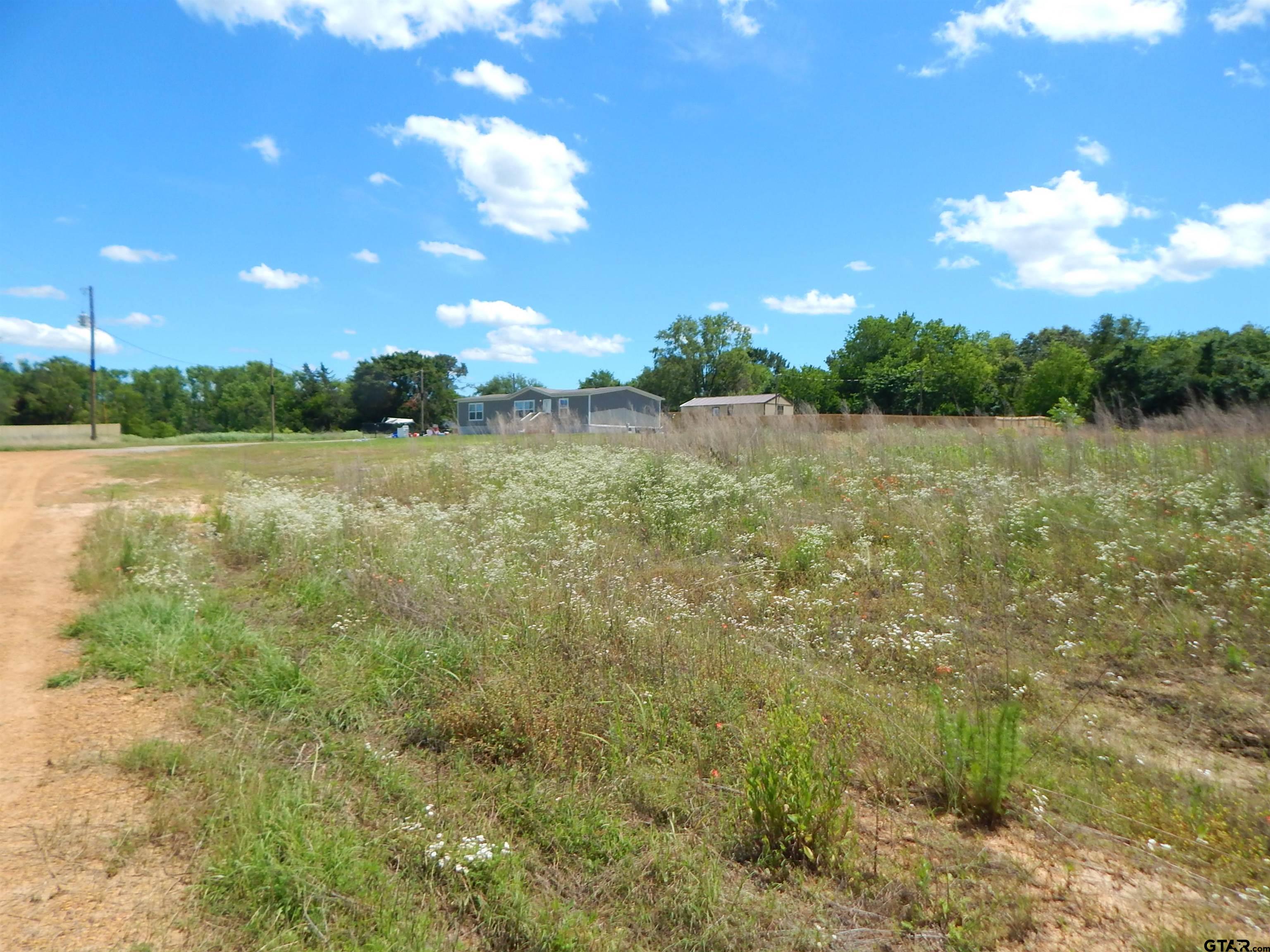Tbd Tbd Road Gilmer, TX 75644 - Photo 4 of 7