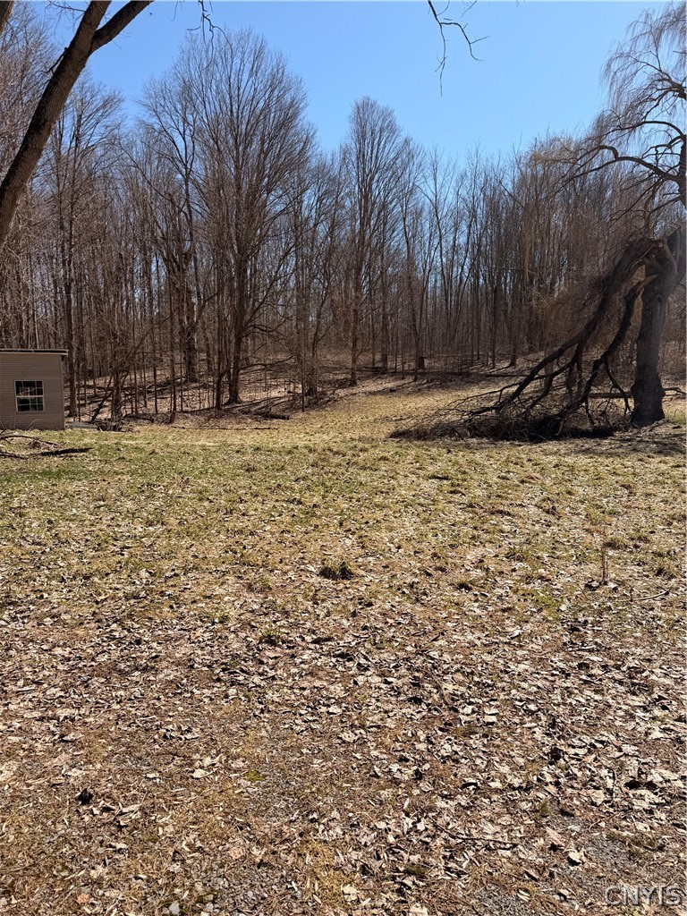 1036 Peru Road Jordan, NY 13080 - Photo 25 of 25