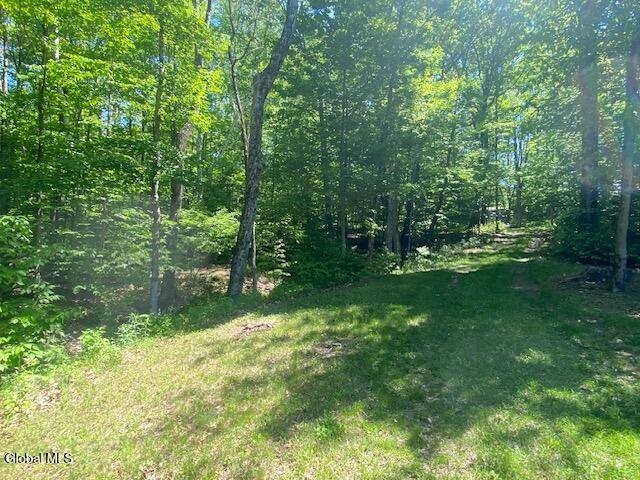 45 Weaver Dam Road Petersburgh, NY 12138 - Photo 15 of 21 IMG_5990