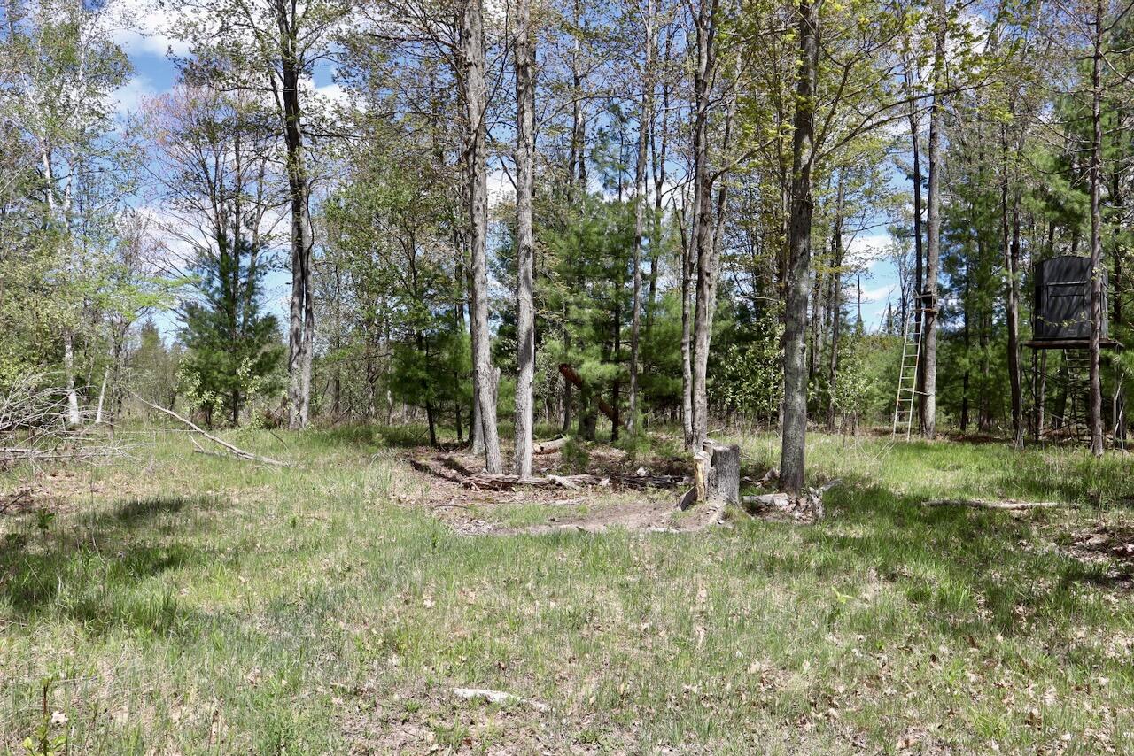 5826 South Morrison Road Alger, MI 48610 - Photo 75 of 86 064