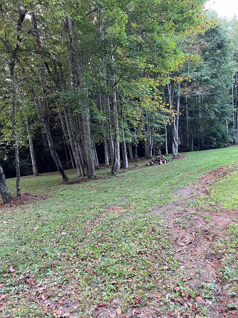 21240 Locust Branch Road Damascus, VA 24236 - Photo 22 of 57 Gallery Image 22
