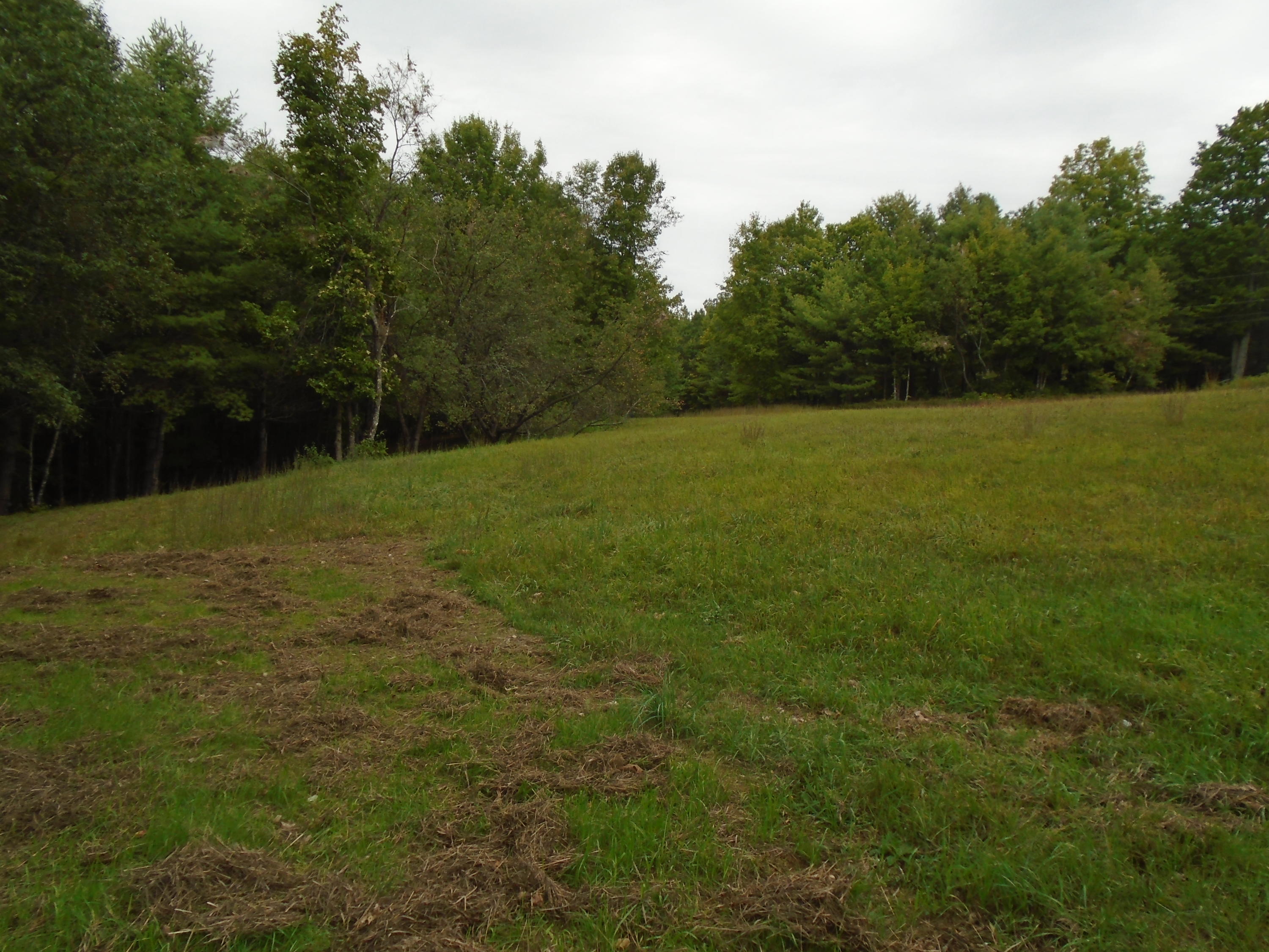 216 Sanborn Road Newfield, ME 04095 - Photo 20 of 33 DSC02089