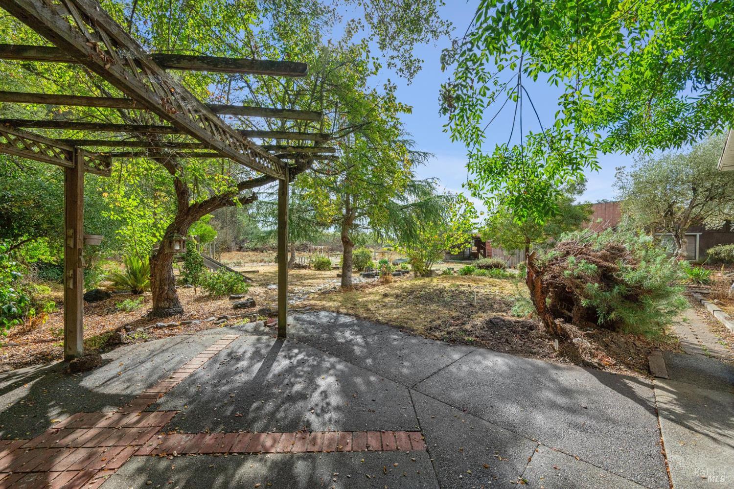 9760 Willow Avenue Cotati, CA 94931 - Photo 55 of 63 a view of forest