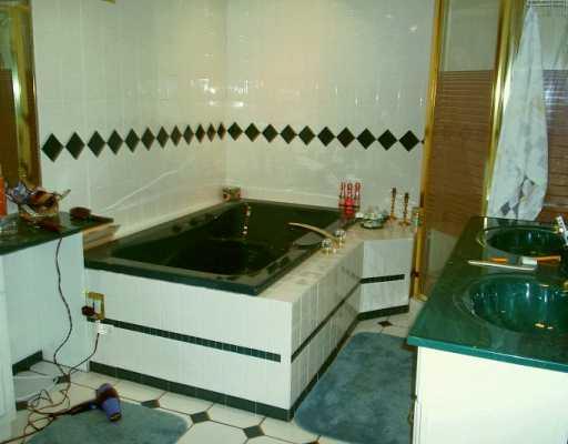 569 Fitz Henry Road Smithton, PA 15479 - Photo 4 of 7 Master Bath/Spa.
