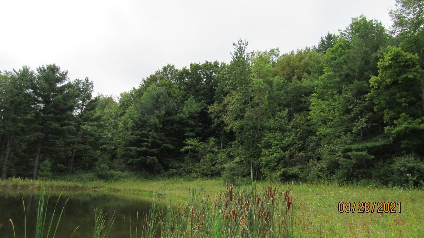 309 Blatchley Road Windsor, NY 13795 - Photo 13 of 22