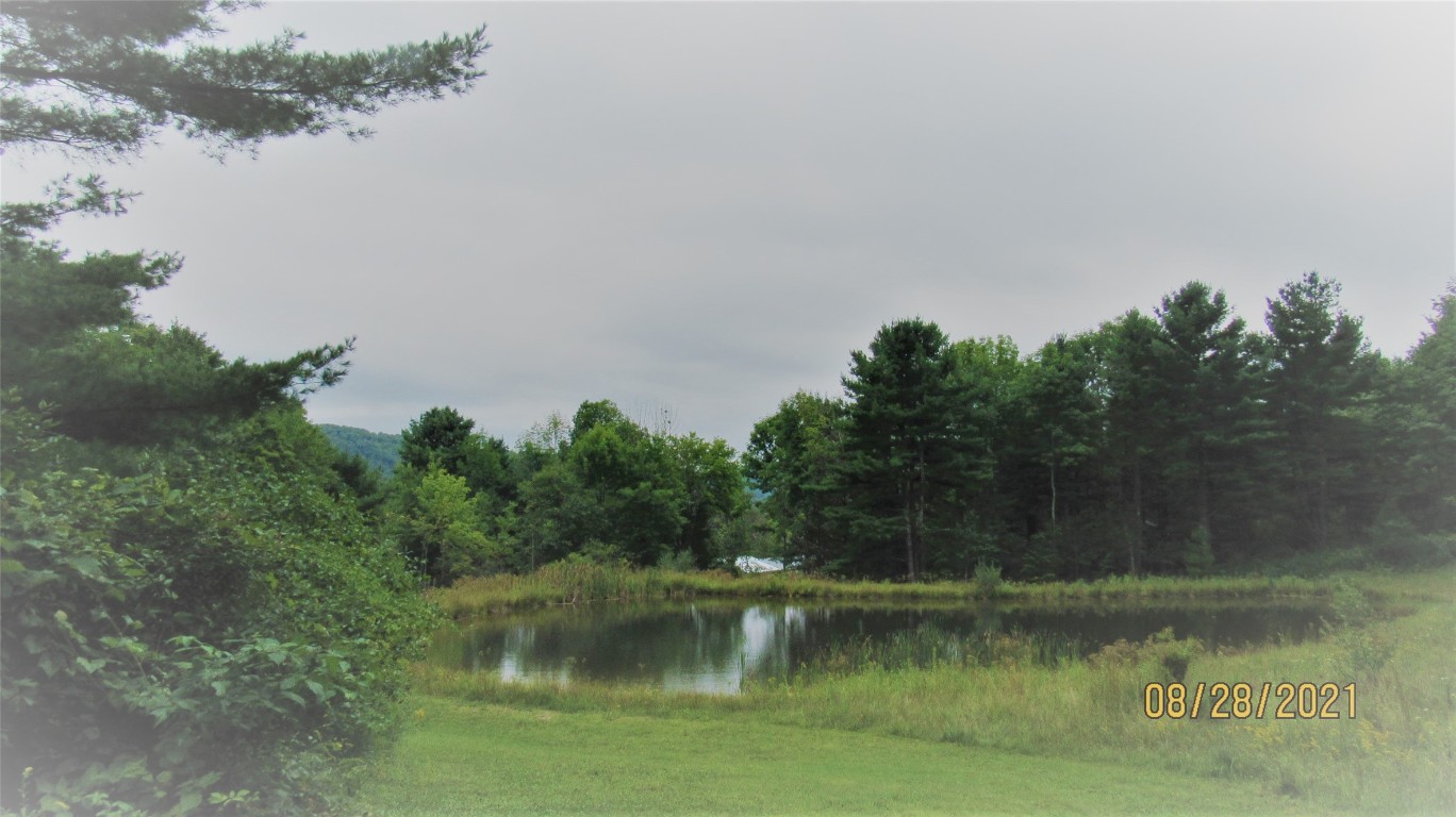 309 Blatchley Road Windsor, NY 13795 - Photo 14 of 22