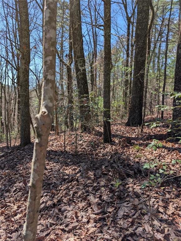 0 Amber Lane Ellijay, GA 30540 - Photo 2 of 5 a backyard of a house with lots of green space