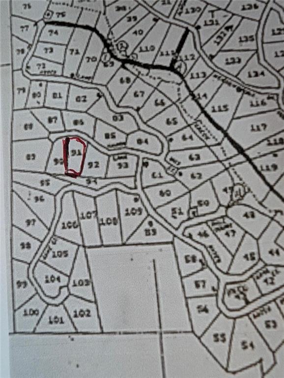 0 Amber Lane Ellijay, GA 30540 - Photo 5 of 5