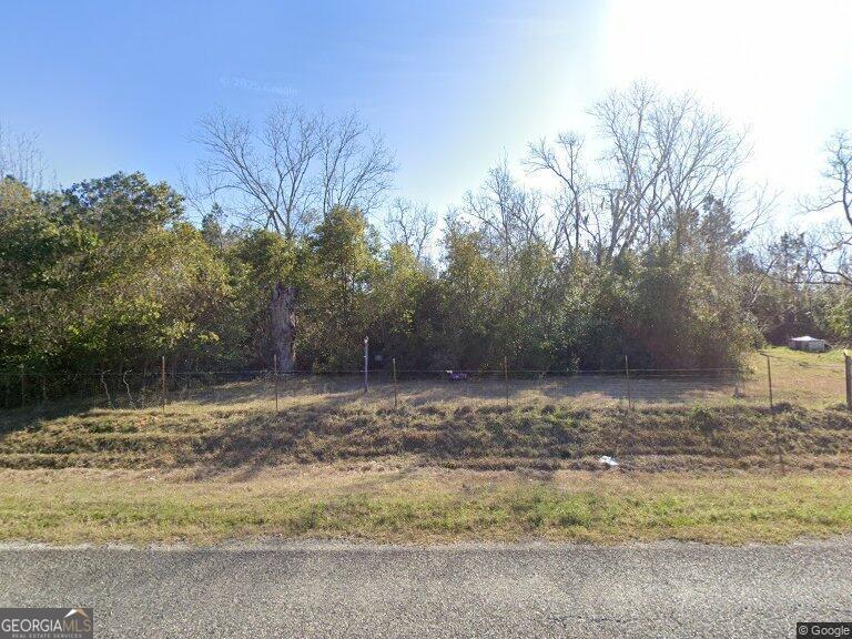 174 Baskins Road Lakeland, GA 31635 - Photo 1 of 5 a view of a yard with a tree