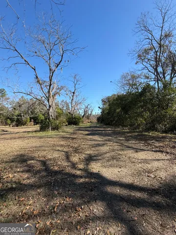 a view of large trees with yard