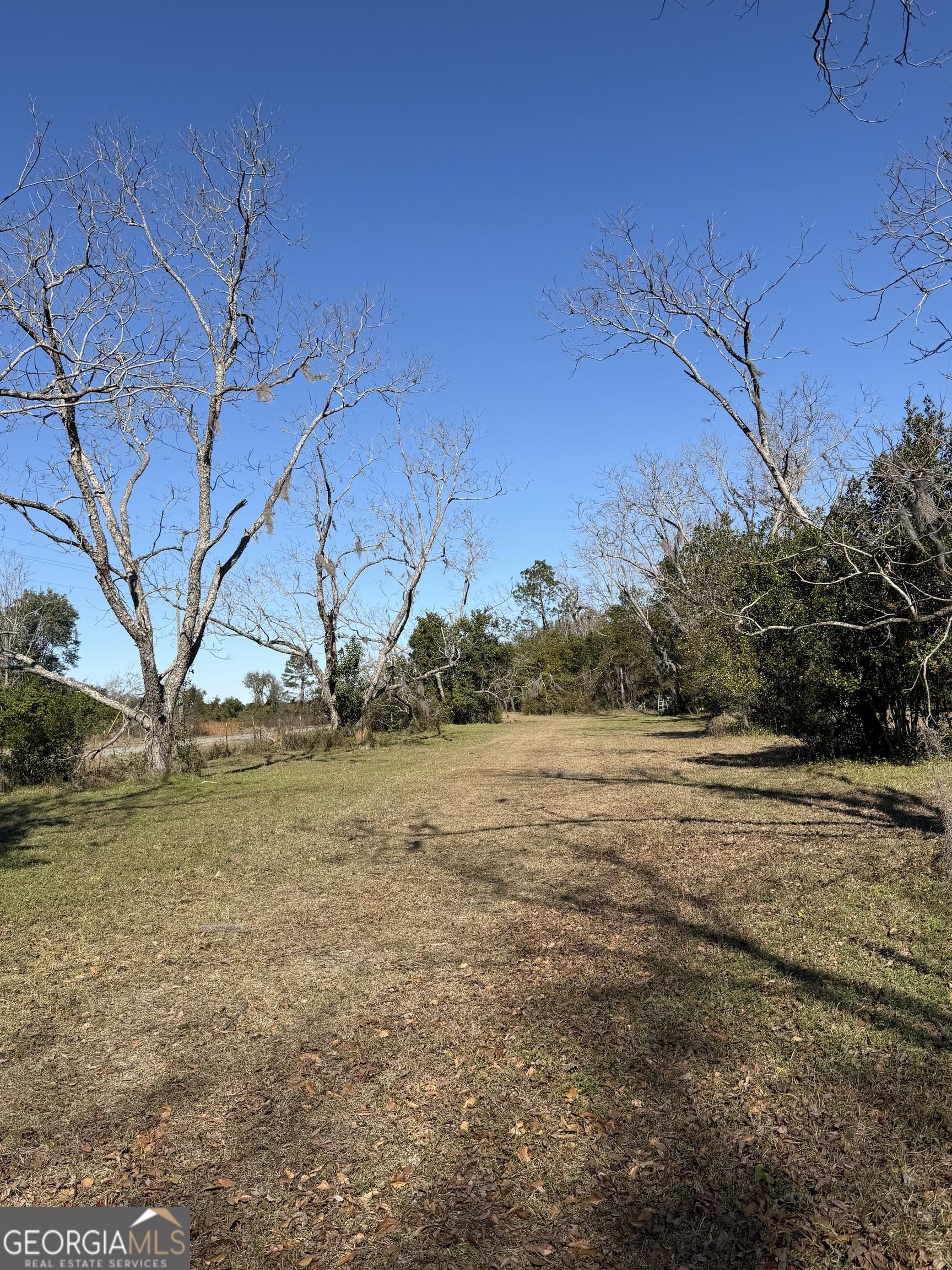 174 Baskins Road Lakeland, GA 31635 - Photo 3 of 5 a view of a lake view