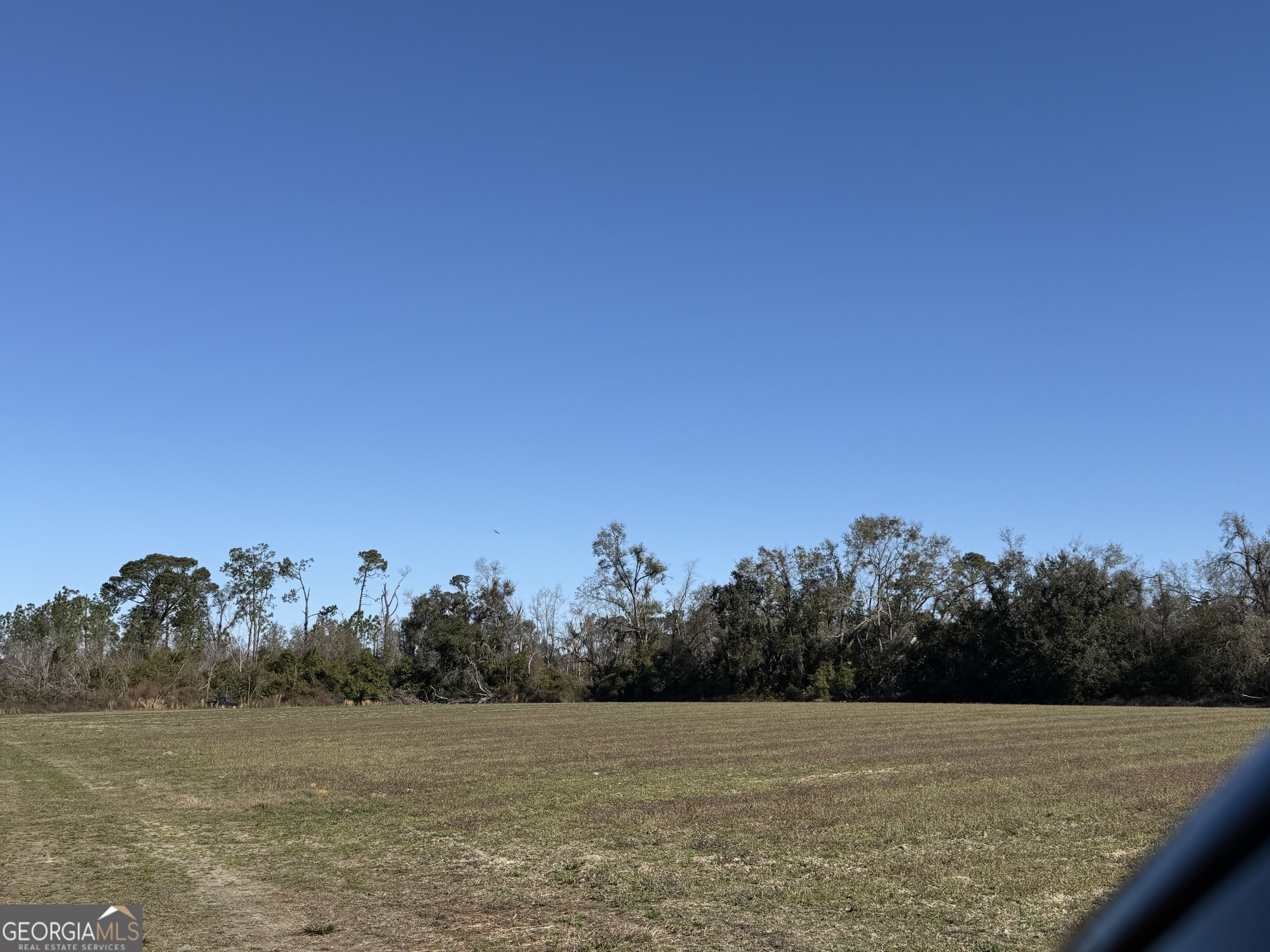 174 Baskins Road Lakeland, GA 31635 - Photo 4 of 5 a view of a lake view